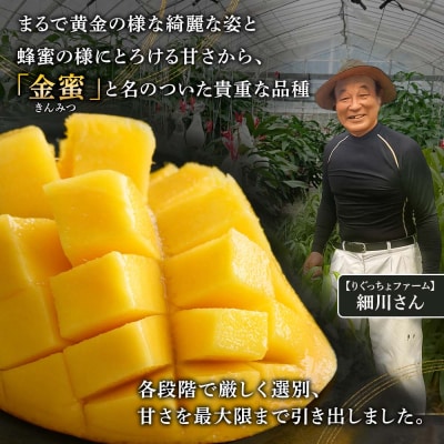レア品種!完熟 金蜜マンゴー1kg(2個～4個入り)フルーツ 果物 果汁 高糖度【R00627】