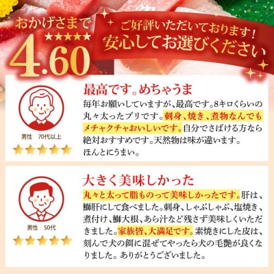 R8年3月下旬以降発送 先行 天然ブリ1本(5キロ～)下処理なし まるごと直送便【R01211】
