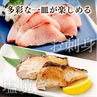 高知産 天然ぶり まるごと1本 下処理なし 鮮魚一匹【R00873】