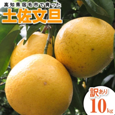 【訳あり】先行受付 土佐文旦 家庭用 10kg L～4L 柑橘 ぶんたん フルーツ【R01136】