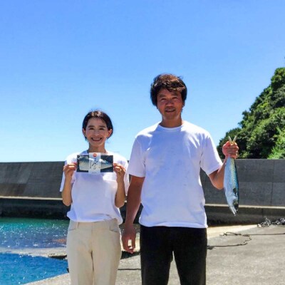 一本釣り 鰹の漬け(100g×4袋)カツオ かつお 漬け丼 海鮮丼 惣菜 個包装【R01203】