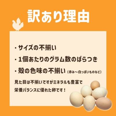 ブランド卵 ましくんの完全放し飼い 土佐ジローの卵 12個入り 訳あり 規格外【R01216】