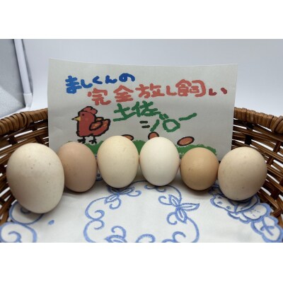 ブランド卵 ましくんの完全放し飼い 土佐ジローの卵 12個入り 訳あり 規格外【R01216】
