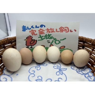 ブランド卵 ましくんの完全放し飼い 土佐ジローの卵 12個入り 訳あり 規格外【R01216】