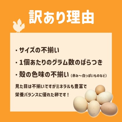 ブランド卵 ましくんの完全放し飼い 土佐ジローの卵 18個入り 訳あり 規格外【R01217】