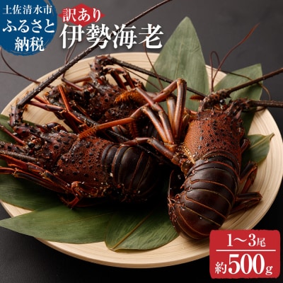 【訳あり】天然 伊勢海老 約500g(1匹～3匹入り)海鮮BBQ 甲殻類 えび エビ【R01247】