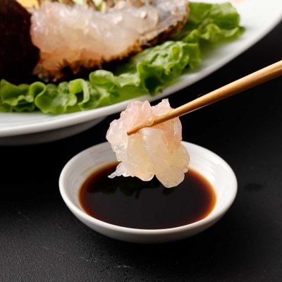 天然タビ海老(ゾウリエビ)約500g(3～5尾入り)サイズおまかせ セミエビ科 濃厚【R01249】