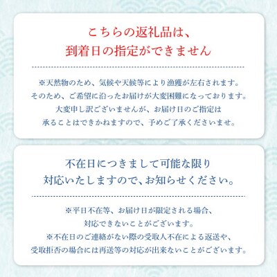 伊勢海老1kg(サイズおまかせ)着日指定不可 伊勢えび【R00638】