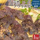 【先行受付10月下旬】天然ゾウリエビ1kg(サイズおまかせ)着日指定不可【R00620】