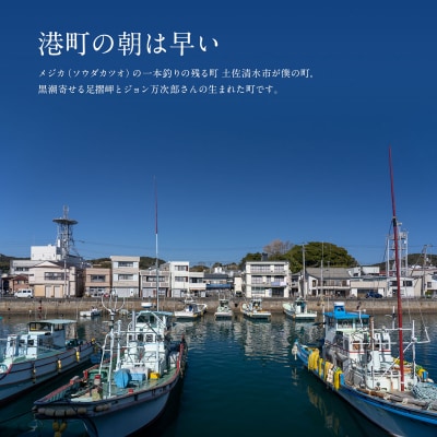 姫かつおスティック 10本 (和風カレ～味) 保存食 災害備蓄 そのまま丸かじり!【R01304】