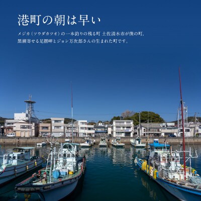 姫かつおスティック 10本 (しょうゆ味) 保存食 災害備蓄 そのまま丸かじり!【R01298】