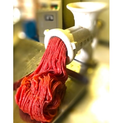 ドッグフード 猪肉ミンチ  200g×5P 計1kg 成犬用 冷凍 真空パック 犬【R00400】
