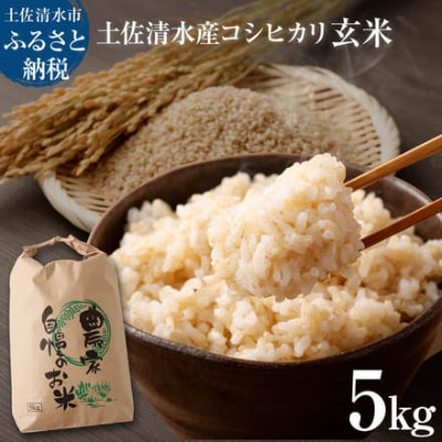 令和7年8月～発送 新米 コシヒカリ 玄米 5kg 高知産 きれいな水育ち 米【R01326】