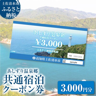 あしずり温泉郷 共通宿泊クーポン券 3,000円分 【R01313】
