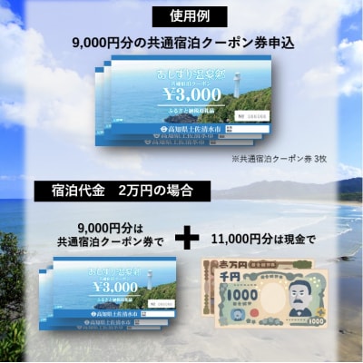 あしずり温泉郷 共通宿泊クーポン券 3,000円分 【R01313】