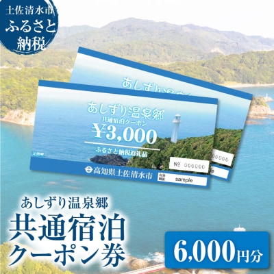 あしずり温泉郷 共通宿泊クーポン券 6,000円分【R01314】