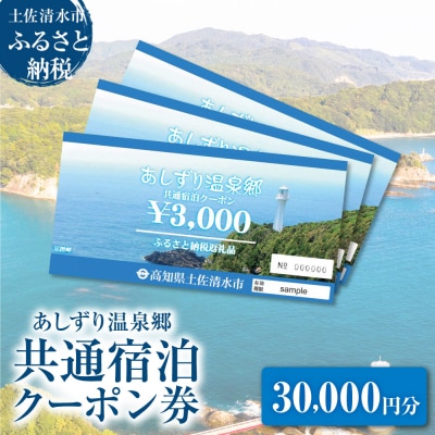 あしずり温泉郷 共通宿泊クーポン券 30,000円分【R01317】