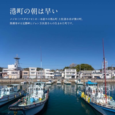 姫かつお 商品8点セット 鰹スティック 炊き込みご飯の素 人参ドレッシング 出汁【R01324】