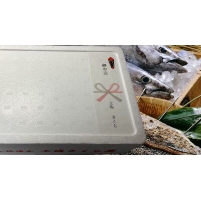 藁焼き かつおのたたき 冷凍 2節 500g(3～4人前)【R01147】高知 カツオ 一本釣り