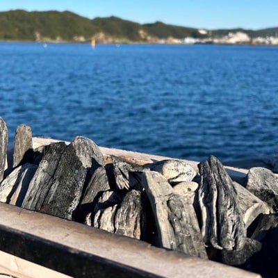 定期便 土佐備長炭 4kg×12回 木炭 アウトドア バーベキュー BBQ 炭火焼き【J00184】