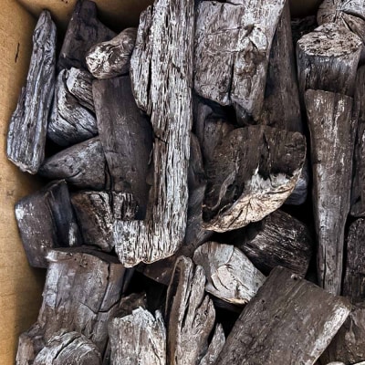 定期便 土佐備長炭 4kg×12回 木炭 アウトドア バーベキュー BBQ 炭火焼き【J00184】