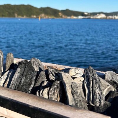 定期便 土佐備長炭 4kg×3回 木炭 アウトドア バーベキュー BBQ 炭火焼き【J00182】