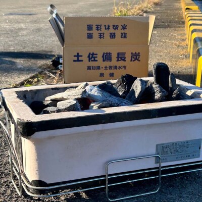定期便 土佐備長炭 4kg×6回 木炭 アウトドア バーベキュー BBQ 炭火焼き【J00183】