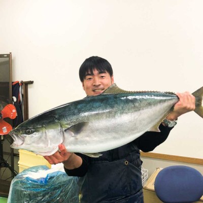 ブリの藁焼きたたき 1本(1~2人前)タレ付きセット 宗田かつおのうまみぽん酢 刺身【R01335】