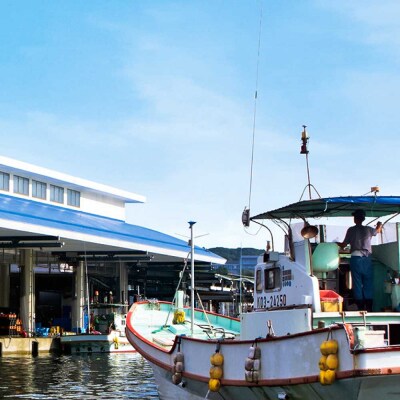 ブリの藁焼きたたき 2本(2~3人前)タレ付きセット 宗田かつおのうまみぽん酢 刺身【R01396】