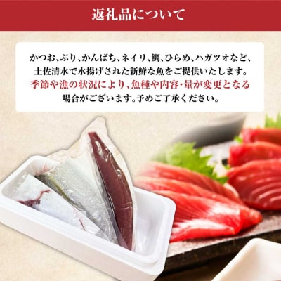 下処理済 おまかせ鮮魚フィレ 2~3種 約1.5kg~2kg(10人前)  刺身【R01341】