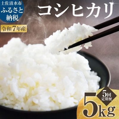 令和7年産 新米 コシヒカリ 精米 5kg 5ヶ月定期便 白米 お米 こしひかり 米【J00189】