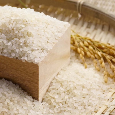 令和7年産 新米 コシヒカリ 精米 5kg 5ヶ月定期便 白米 お米 こしひかり 米【J00189】