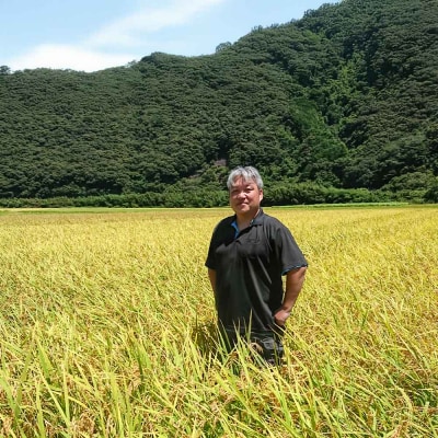 令和7年産 新米 コシヒカリ 精米 5kg 5ヶ月定期便 白米 お米 こしひかり 米【J00189】