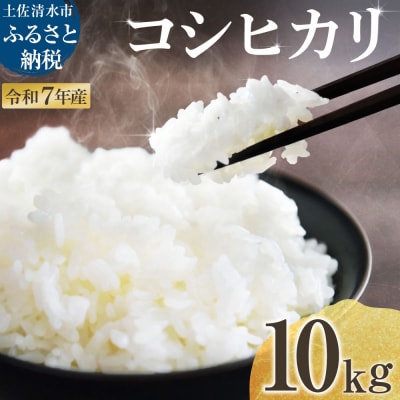 令和7年産 新米 コシヒカリ 精米 10kg 白米 お米 高知県産 こしひかり 米【R01518】