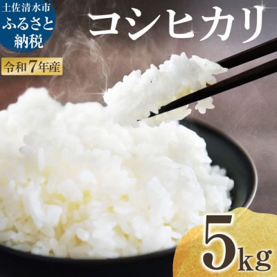 令和7年産 新米 コシヒカリ 精米 5kg 白米 お米 高知県産 こしひかり 米【R01517】