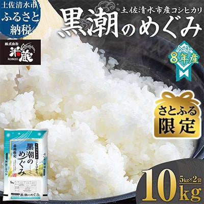 【さとふる限定】先行 8月～ コシヒカリ 令和8年産 新米 10kg 精米【R01367】