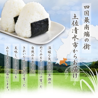 先行 8月～ 米 コシヒカリ 令和7年産 新米 10kg 精米 高知産【R01367-st1】
