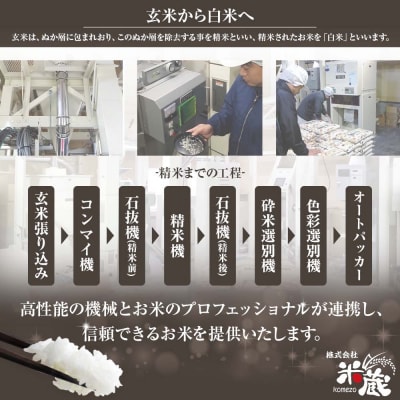 8月開始 米 コシヒカリ 令和7年産 新米 10kg 3回定期便 精米【J00200-st1】