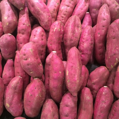 干し芋 100g×3袋 さつまいも 和菓子 お菓子 デザート【R01515】