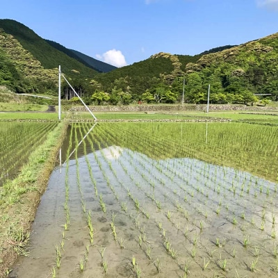 土佐清水産コシヒカリ 玄米 5kg 令和7年産 新米 宗呂米【R01509】
