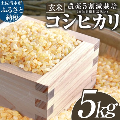 【先行受付】令和8年産 新米　 農薬5割減栽 コシヒカリ 玄米 5kg  宗呂米【R01598】