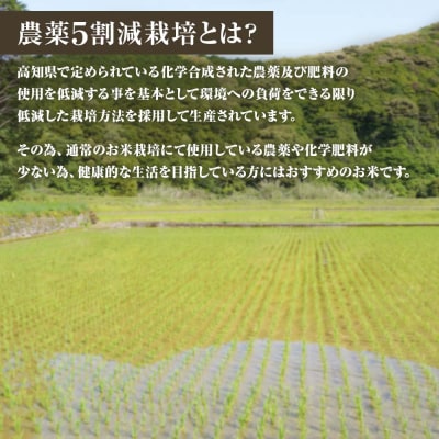 【先行受付】令和8年産 新米　 農薬5割減栽 コシヒカリ 玄米 5kg  宗呂米【R01598】