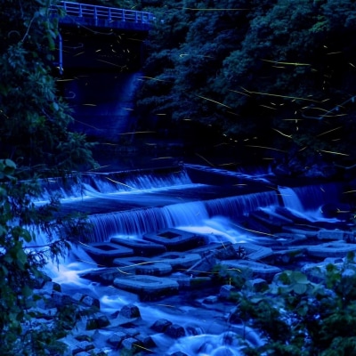 【先行受付】令和8年産 新米　 農薬5割減栽 コシヒカリ 玄米 5kg  宗呂米【R01598】