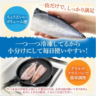 R7.7月中旬～順次発送  塩サバ 1kg 約6枚 鯖 味付き 国産 冷凍【R01424】