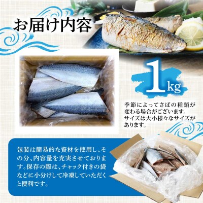 R7.7月中旬～順次発送  塩サバ 1kg 約6枚 鯖 味付き 国産 冷凍【R01424】