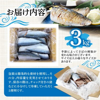 R7.7月中旬～順次発送 塩サバ 3kg 約18枚 鯖 味付き 国産 冷凍【R01426】