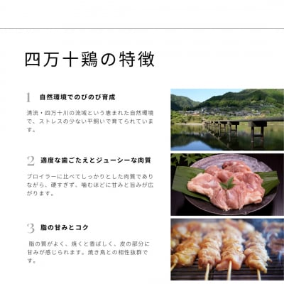 炭火焼き 四万十鶏の焼き鳥 計50本 塩味 たれ味 各25本 もも肉 冷凍 惣菜 【R01444】