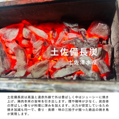 炭火焼き 四万十鶏の焼き鳥 計50本 塩味 たれ味 各25本 もも肉 冷凍 惣菜 【R01444】