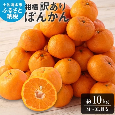 令和9年1月発送　ぽんかん 訳あり10kg 谷川果樹園 柑橘 果物 フルーツ【R01601】
