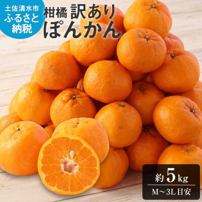 ぽんかん 訳あり5kg 谷川果樹園 柑橘 果物 【R01141】